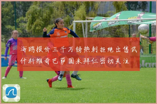 海鸥报价三千万镑热刺拒绝出售武什科维奇巴萨国米拜仁密切关注
